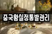 중국황실정통발관리