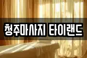 충청북도 청주시 서원구 산남동 마사지, 지압등 업체정보