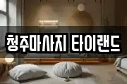 충청북도 청주시 서원구 마사지, 지압등 업체정보