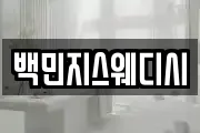 백민지스웨디시
