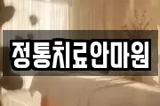 충청북도 청주시 청원구 내덕동 마사지, 지압등 업체정보