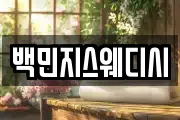 백민지스웨디시