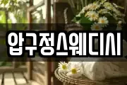 압구정스웨디시