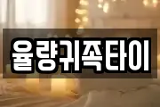 율량귀족타이