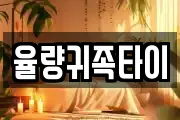 율량귀족타이