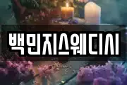 백민지스웨디시