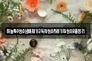 하늘특수청소냄새제거고독사청소쓰레기집청소유품정리