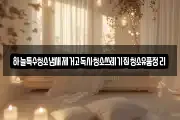 하늘특수청소냄새제거고독사청소쓰레기집청소유품정리