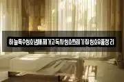 하늘특수청소냄새제거고독사청소쓰레기집청소유품정리