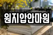 원지압안마원