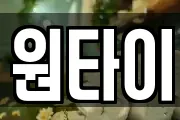 원타이