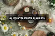 용달,화물,바이크탁송,오토바이탁송,용달이사,원룸이사