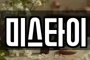 미스타이
