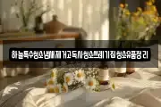 하늘특수청소냄새제거고독사청소쓰레기집청소유품정리