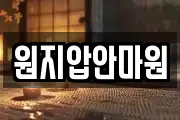원지압안마원