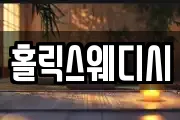 홀릭스웨디시
