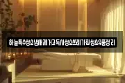 하늘특수청소냄새제거고독사청소쓰레기집청소유품정리
