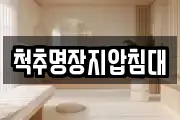 척추명장지압침대