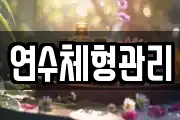 연수체형관리