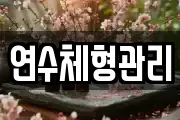 연수체형관리