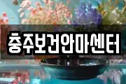 충청북도 충주시 지현동 마사지, 지압등 업체정보
